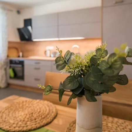 Astra Lipno Apartment